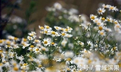 天秤座|7月，缘尽于此，不惧艰险，迎接旧爱，甜蜜重逢，大富大贵之命