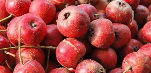 水果煮一煮,秒变成“良药”,止咳、清火、防血栓通通都搞定!