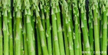 美誉|农村一种常见植物,营养价值与牛肉相比肩,有“蔬菜之王”的美誉