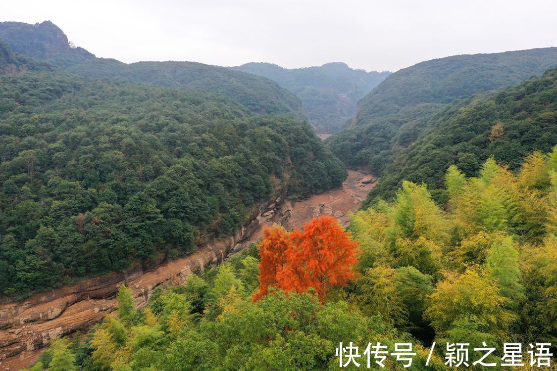 水库|淹没四十多年的古村遗址，重见天日，红杉林隐秘而迷人