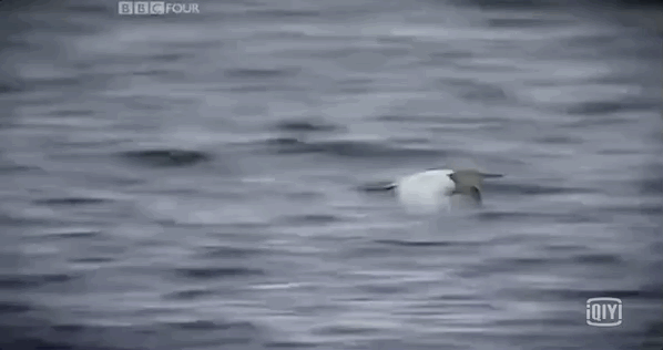 数学@9部孩子必看的顶级纪录片，知识点满满，推荐收藏