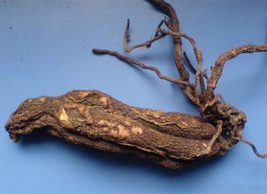 糖友|血糖不好管不住嘴医生这10种食物，不仅好吃还能降血糖