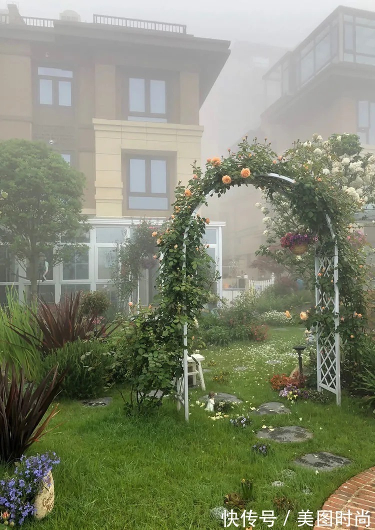满园|2年前,买了一栋带院子的房子,在高楼喧嚣中建一个“梦幻花园”