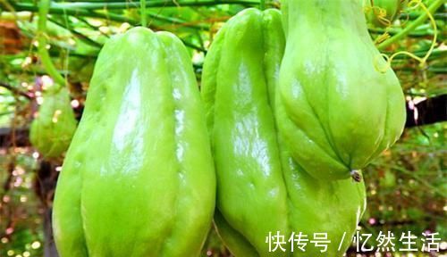 紫苏|每天晚上坚持吃3种食物,排毒养颜、延缓衰老,谁吃谁受益!