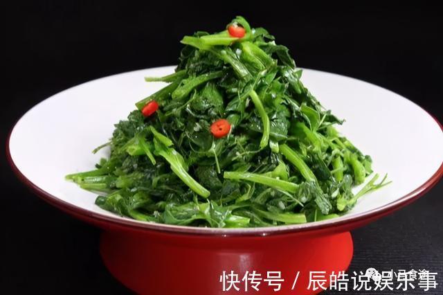 酸辣菜品|13道酸辣菜品,有凉菜有热菜,酸辣开胃,可以促进食欲和消化哦