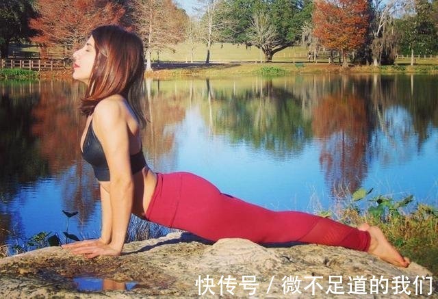 犬式|瑜伽拜日式，瑜伽入门必练的经典序列！