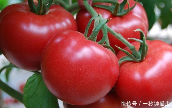 女性过了30岁,推荐吃3种食物,滋阴补气,补血养颜,滋补身体