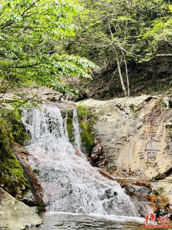 小唐策游潇湘之三：阳明山何止杜鹃红和万寿寺