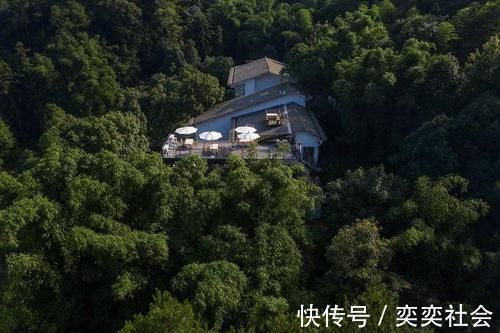 草木|他归隐山林,租了栋800㎡废弃三合院,改造后,却让网友羡慕不已