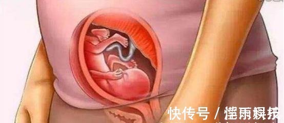 怀胎|宝宝是怎么被慢慢孕育出来的,十张过程图,一切来之不易