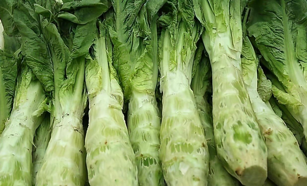 莴笋|夏至前后,记得“吃3苦,尝2酸”,寓意好运一整年,全家人受益