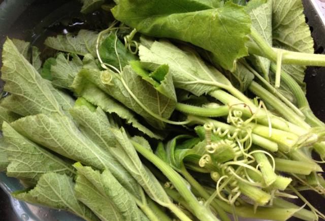 没人要的菜叶子，养生效果居然这么好，戒烟止咳找它没错