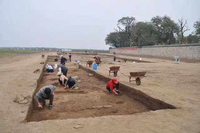 故城遗址|鲁国遗址出土一个牙雕，模样好像是手臂，专家说：它可能是痒痒挠