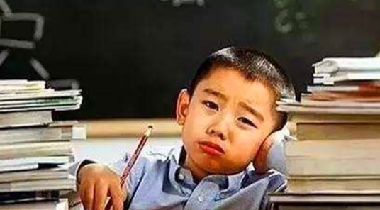 二胎家庭|“暴躁姐姐”在线教育弟弟,父母不敢帮儿子求情,网友:女中豪杰