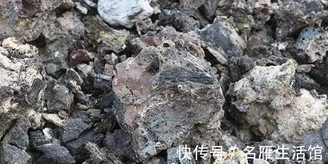 枝条|造成“栀子花”、“茉莉花”长势不好，元凶是它