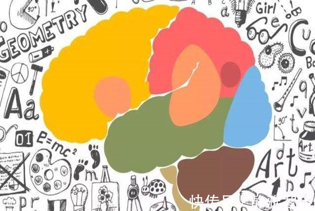 好奇心|孩子小时候的这三种“怪癖”,暗示脑力超常,长大多半是学习的料