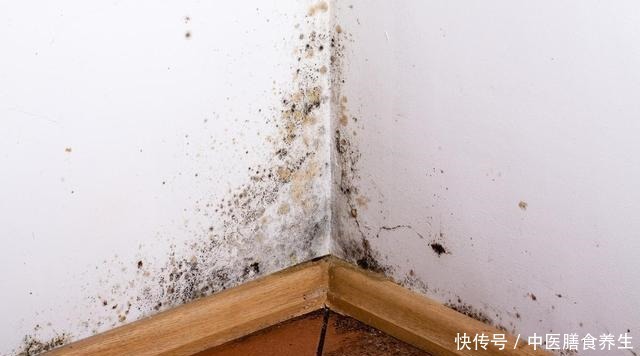 躲在卫生间里的这东西,可能会产生黄曲霉,为了家人,要及时处理!