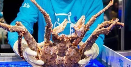 帝王|为什么吃帝王蟹只吃蟹腿不是因为太土豪,看完就明白了