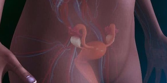 避孕|有种“避孕方法”安全方便，若老公愿意去做，真幸运，遇到了真爱