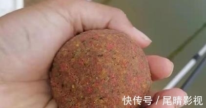 动物蛋白|钓了30多年鲫鲤鱼,只服这套饵料用法!简单又高效