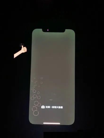 用户|苹果承认iPhone12绿屏问题 跑腿小哥携12 ProMax跑路被抓