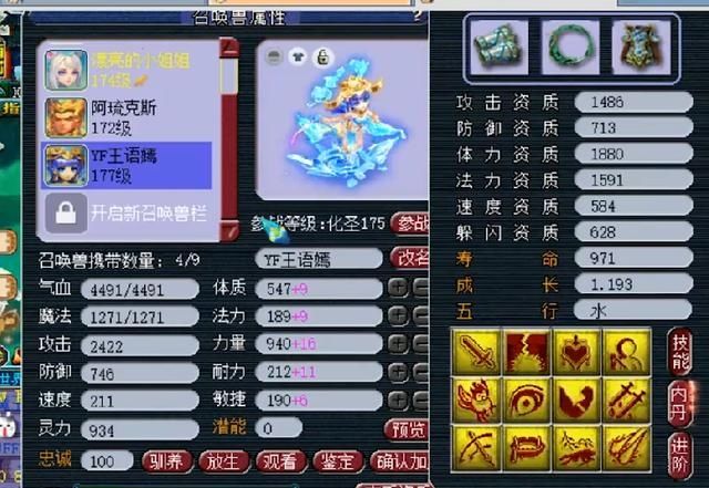 次数|梦幻西游：全服首只出手次数最多的个性宠，一回合攻击16个目标