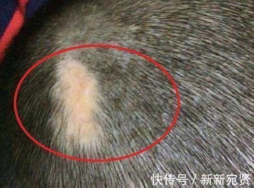 孩子|剖腹产划伤孩子头部,医生很快就会好的,7年后家长找上医院