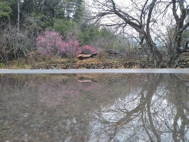 中年|泰宁又出了一个网红打卡点！你还不来看看吗？