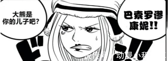 世界政府|海贼王:乔艾莉·波妮竟然是暴君熊的母亲,信息量太大
