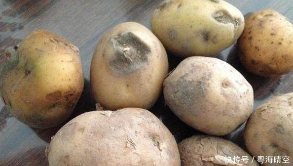 致癌|不能买,更不能吃,易中毒还有致癌的风险!