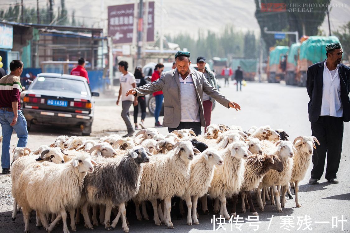 补给点|新藏线上一个不起眼小村，如何成重要的补给点？一碗抓饭让人难忘