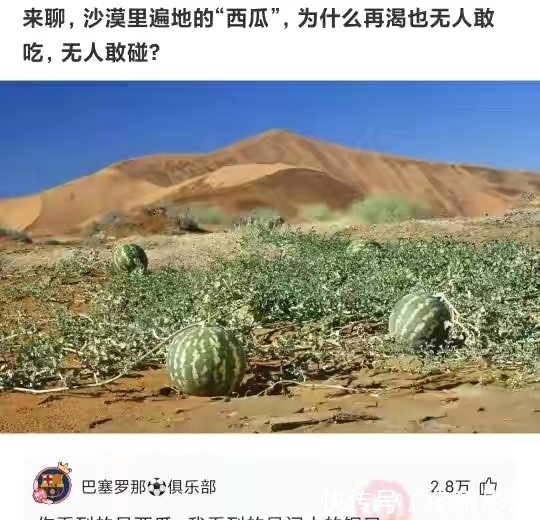 |搞笑神回复(7)