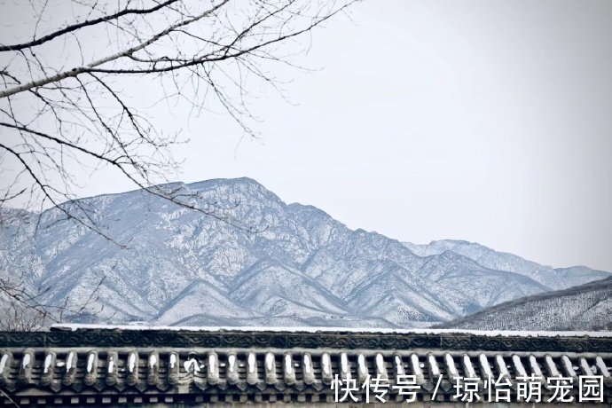 它忍住寒冬,迎来至善至美的大境界,一个“忍”字教我磨难人生!