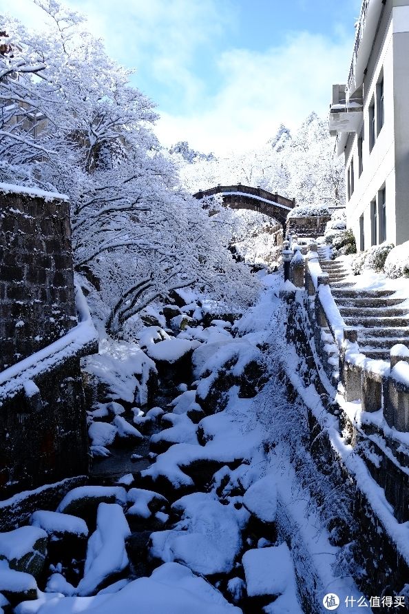 西海饭店|旅游 篇五：2022黄山冬游记–水墨黄山完结