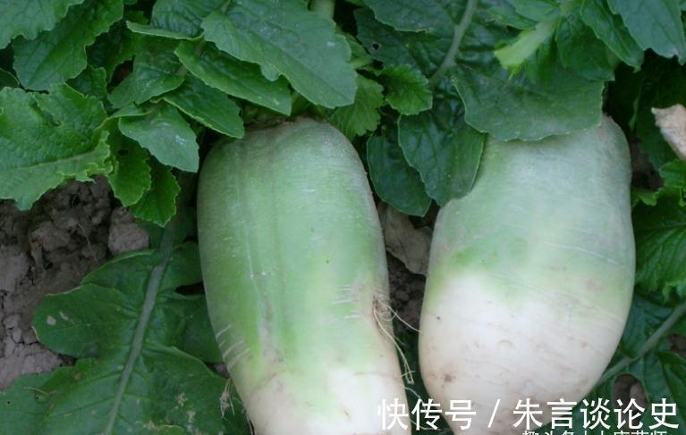 阴阳|秋分后，寒气渐重，遵循4条养生秘诀，平衡阴阳，全面增强抵抗力