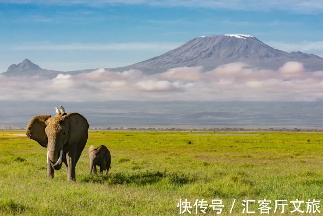 亚马逊雨林|恐将消失的10大美景，看到最后两个，我无语了……