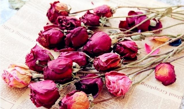 七夕收到的鲜花,看几天就败教你3招,放一年都没事!