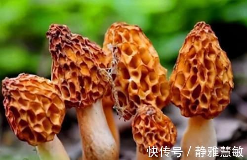 滑利性|怪不得你比同龄人老得快,3种食物你定经常吃!以后不吃也别碰