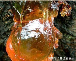 女人|女人再節儉這5種堿性食物也要吃，補充天然雌激素，讓你更年輕