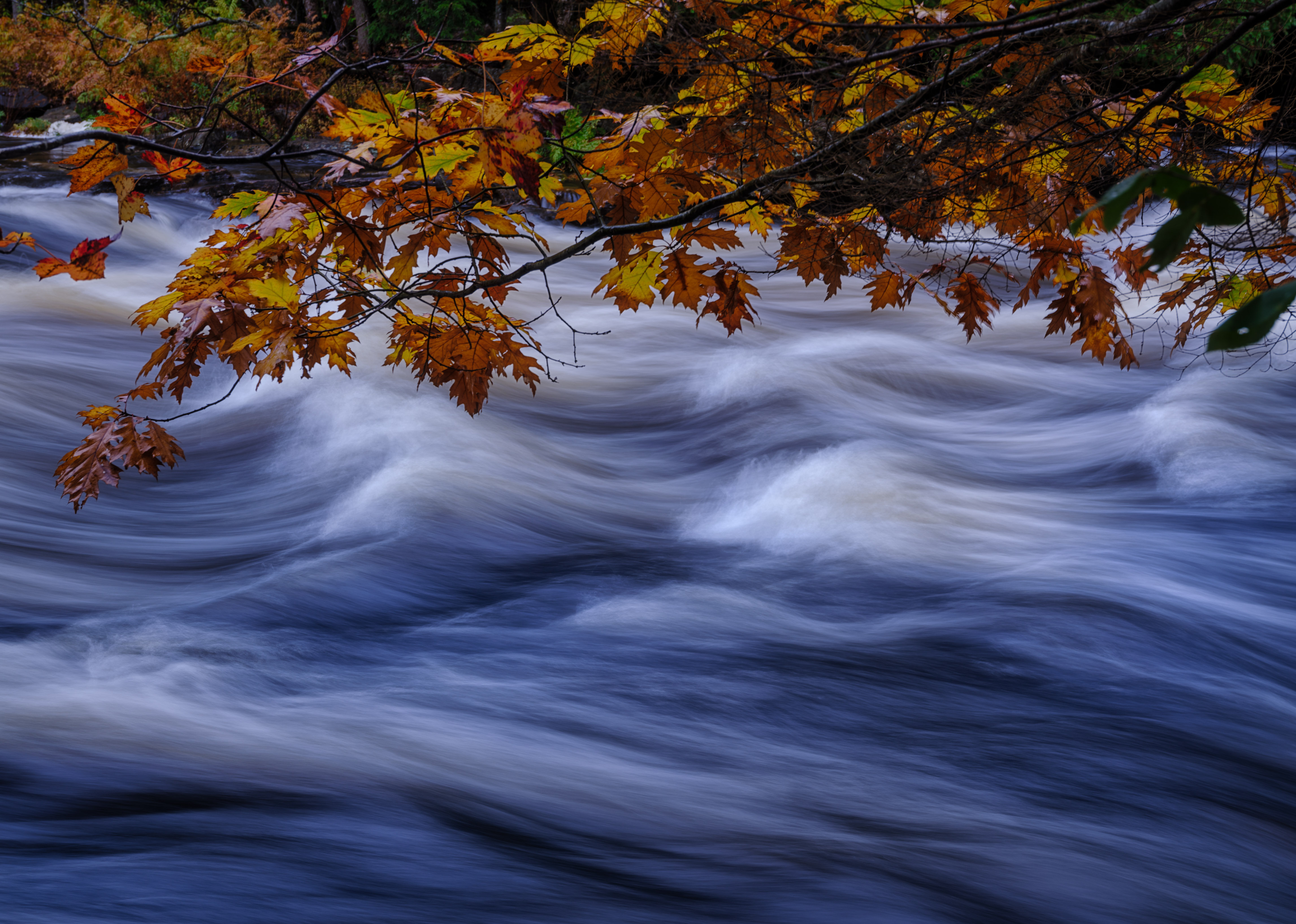大荒流&山水有相逢,这些都是遗落人间的珍宝,每一帧都璀璨如初