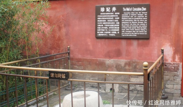塞下|珍妃井七八岁小孩都掉不进去，慈禧怎么将珍妃塞下的？答案很简单