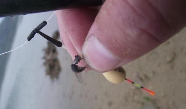 钓白条鱼真是累人,用我分享的方法,只要你下钩,它就在那等你