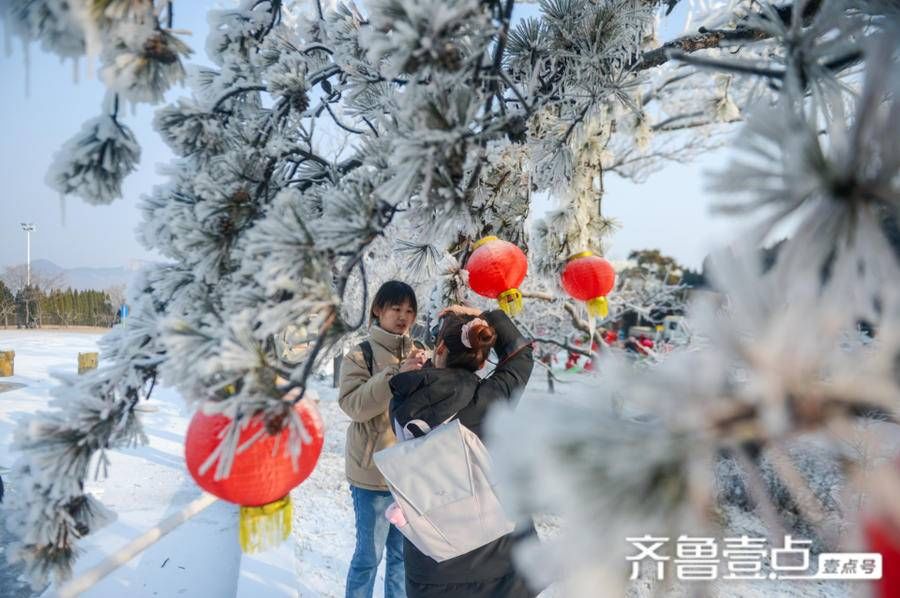 齐鲁雪乡|惊现“金钱豹”跑马岭·齐鲁雪乡成冬季网红打卡地