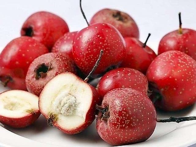 消脂|山楂和此物泡着喝,消脂排毒,降压补血,给身体来个大扫除!