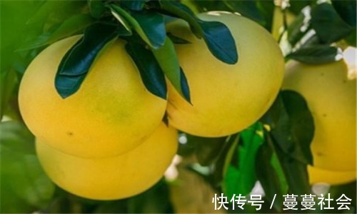 祛斑|人到中年想长寿 ,推荐吃3种食物,美白祛斑,降压减脂、增强体质