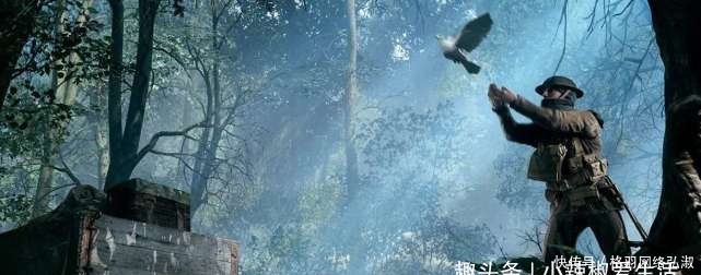 作战方式|抗战时,遇到一种动物必须要击毙,这是鲜血换来的教训