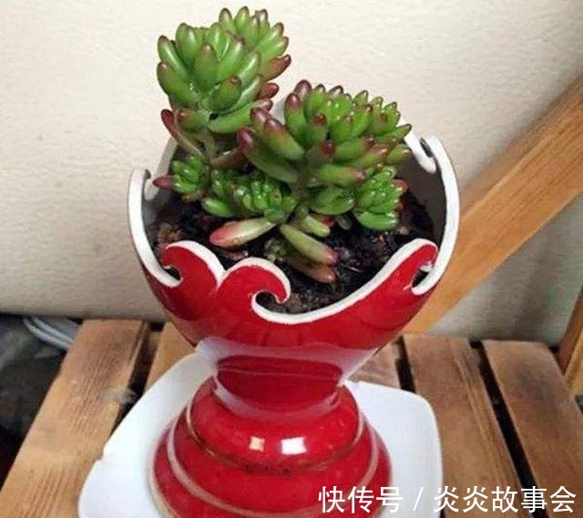 “洗衣液桶”别扔,这样剪2刀,秒变养花神器,还能种菜