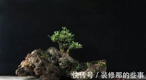 个性|破壶烂瓦做盆，每一个都破出了个性