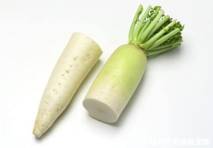 健康|“冬吃萝卜,夏吃姜”,白萝卜还有一个小偏方,早看早受益