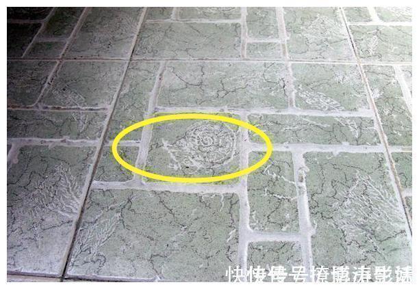 装修|装修时瓷砖“边角料”别扔,让它废物变宝,这6处都能用到,省钱